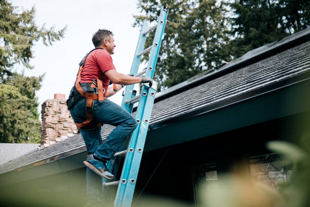 Best Gutter Installation and Repair  in Nisswa, MN